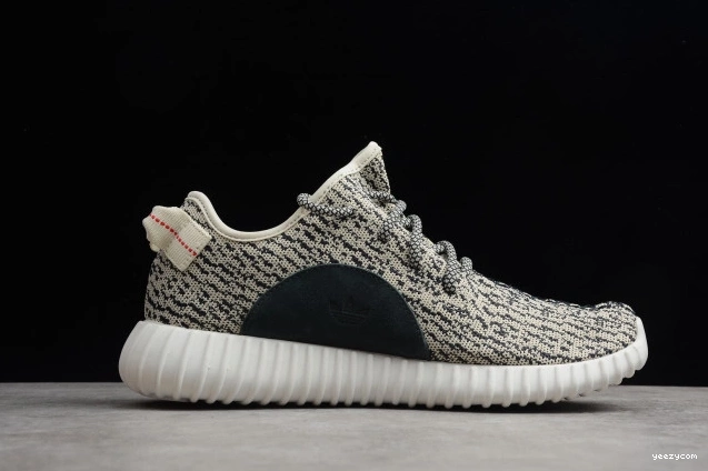 Dove YEEZY AQ4832 Turtle 350 Adidas Boost 1210